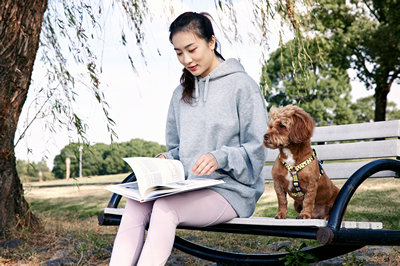 清華大學(xué)在職研究生
