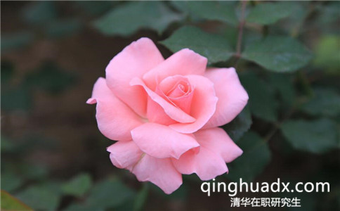 清華大學(xué)在職研究生和同等學(xué)力申碩有什么區(qū)別