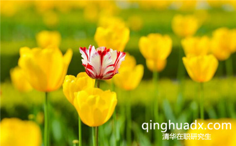 清華大學(xué)同等學(xué)力申碩能拿到什么證書