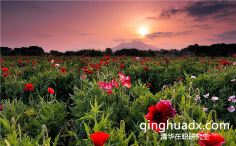 2017年清華大學(xué)同等學(xué)力申碩考試科目是什么