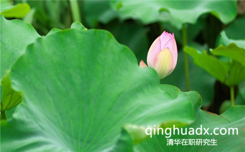 2017年清華大學(xué)同等學(xué)力申碩報(bào)名流程