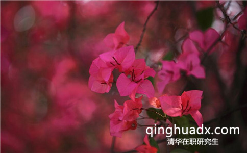 清華大學(xué)免試入學(xué)在職研究生還需要考試嗎