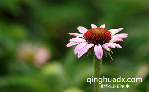 讀完清華大學(xué)在職研究生拿到的是單證還是雙證