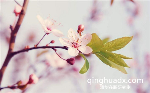 2017年清華大學(xué)同力統(tǒng)考在職研究生報(bào)名流程
